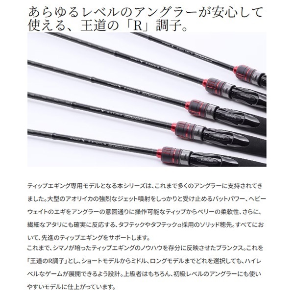 23 セフィア BB ティップエギング